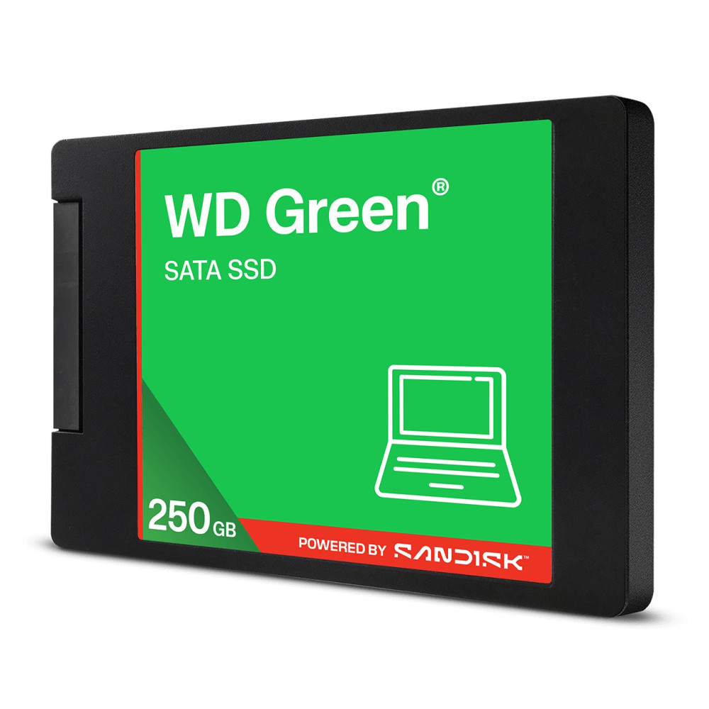 Western Digital WDS250G5G0A SSD Interni