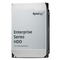Synology Enterprise. Hard Disk Interni
