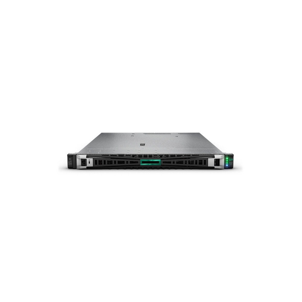 HPE ProLiant DL365 Gen11. Server