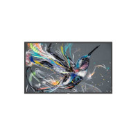 Philips 32BDL3511Q/00. Monitor Digital Signage