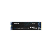 PNY CS1030. SSD Interni