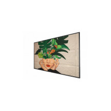 Philips 55BDL4511D/00. Monitor Digital Signage