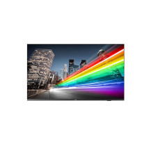 Philips 65BFL2214/12. TV