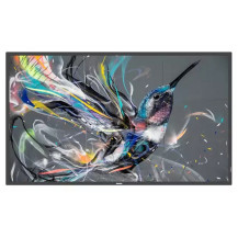 Philips Signage Solutions 75BDL3511Q/00. Monitor Digital Signage