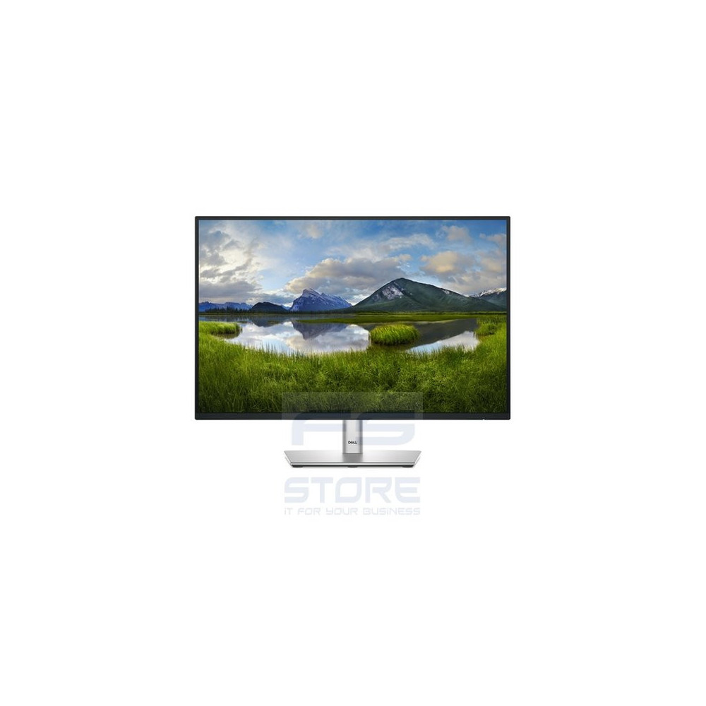 DELL Pro Plus P2425E Monitor PC 61,1 cm (24.1\