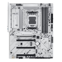 Asus 90MB1M10-M0EAY0 Schede Madri