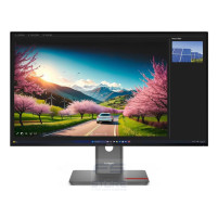 Lenovo ThinkVision P32UD-40 Monitor PC 80 cm (31.5\