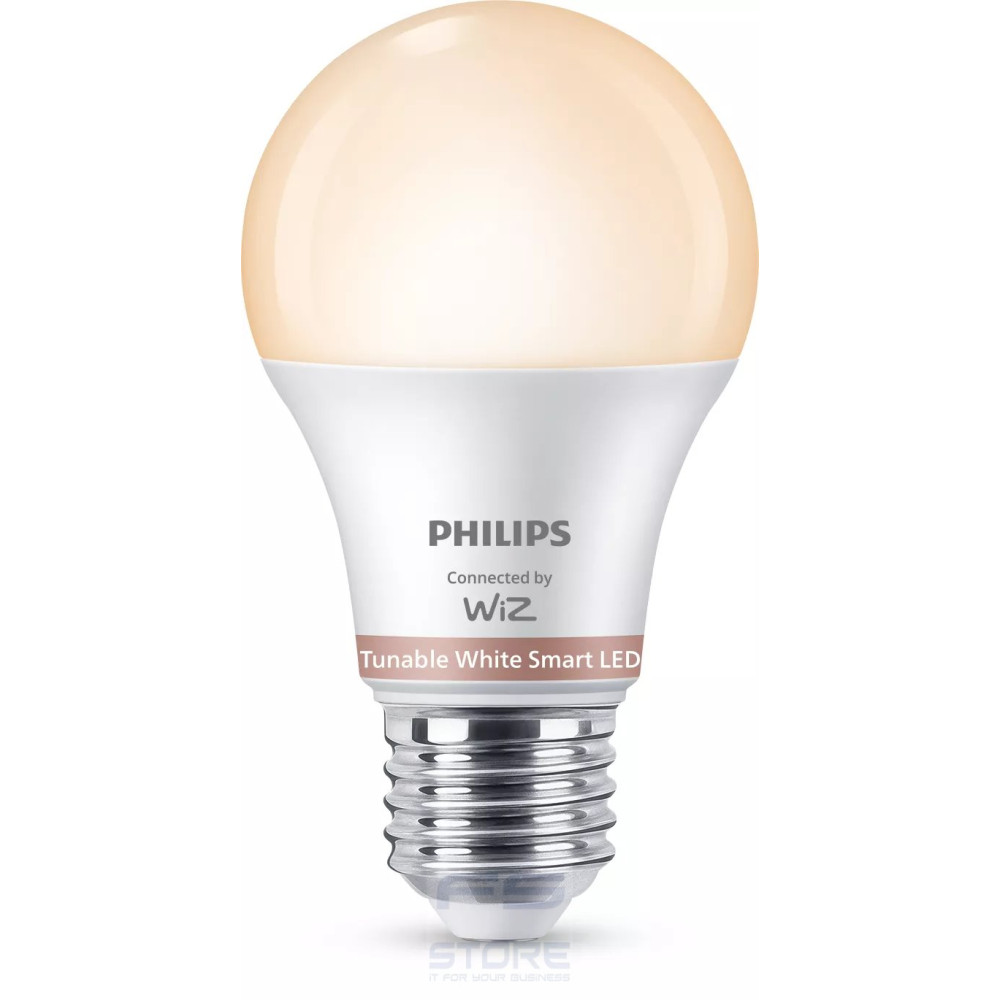 Philips Lampadina 60 W A60 E27