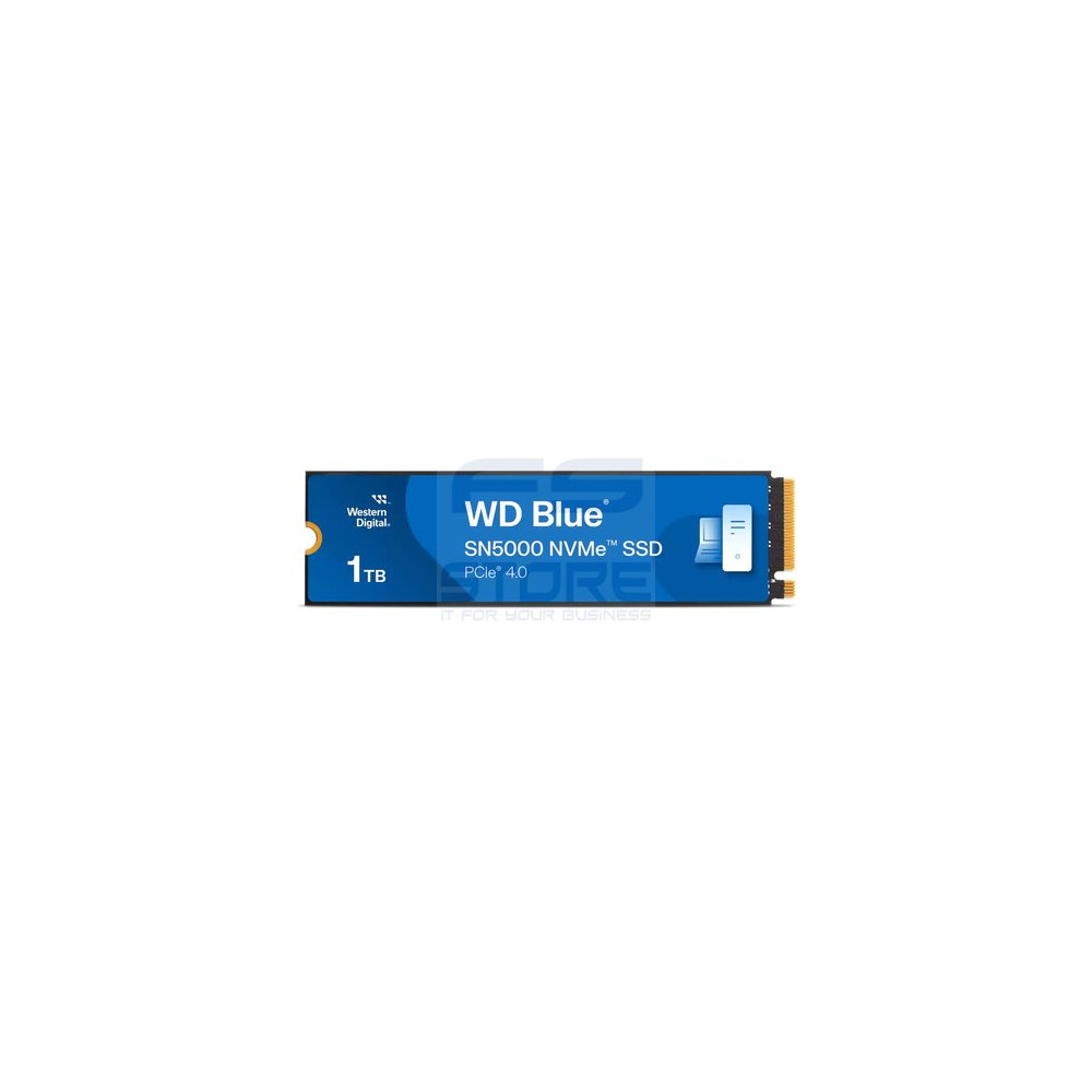 Western Digital WDS100T4B0E SSD M2