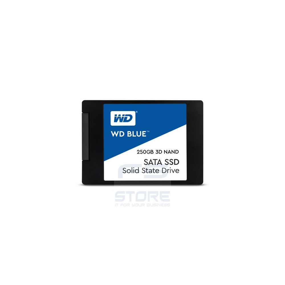 Western Digital WDS250G2B0A SSD Interni