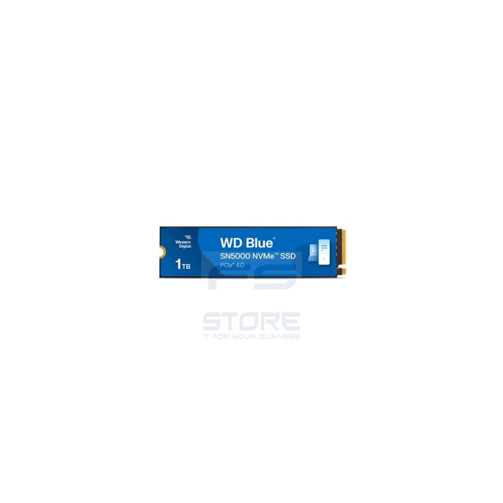 Western Digital WDS100T4B0E-00CNZ0 SSD M2