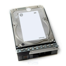 DELL 161-BCJX disco rigido interno 12 TB 7200 Giri/min 3.5\