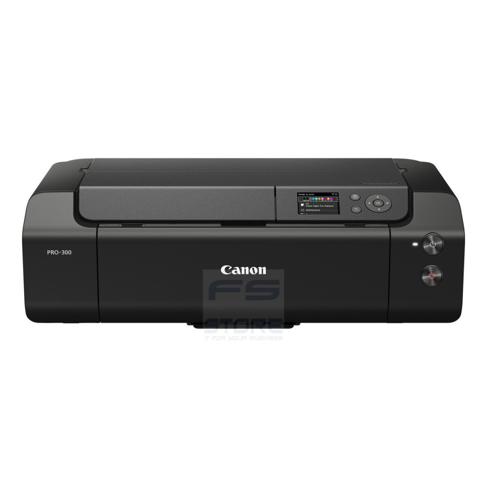 Canon imagePROGRAF PRO-300 stampante per foto 4800 x 2400 DPI 13\