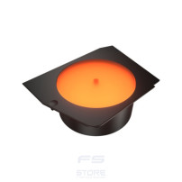 Cougar CGR-58M6B-LRP Case