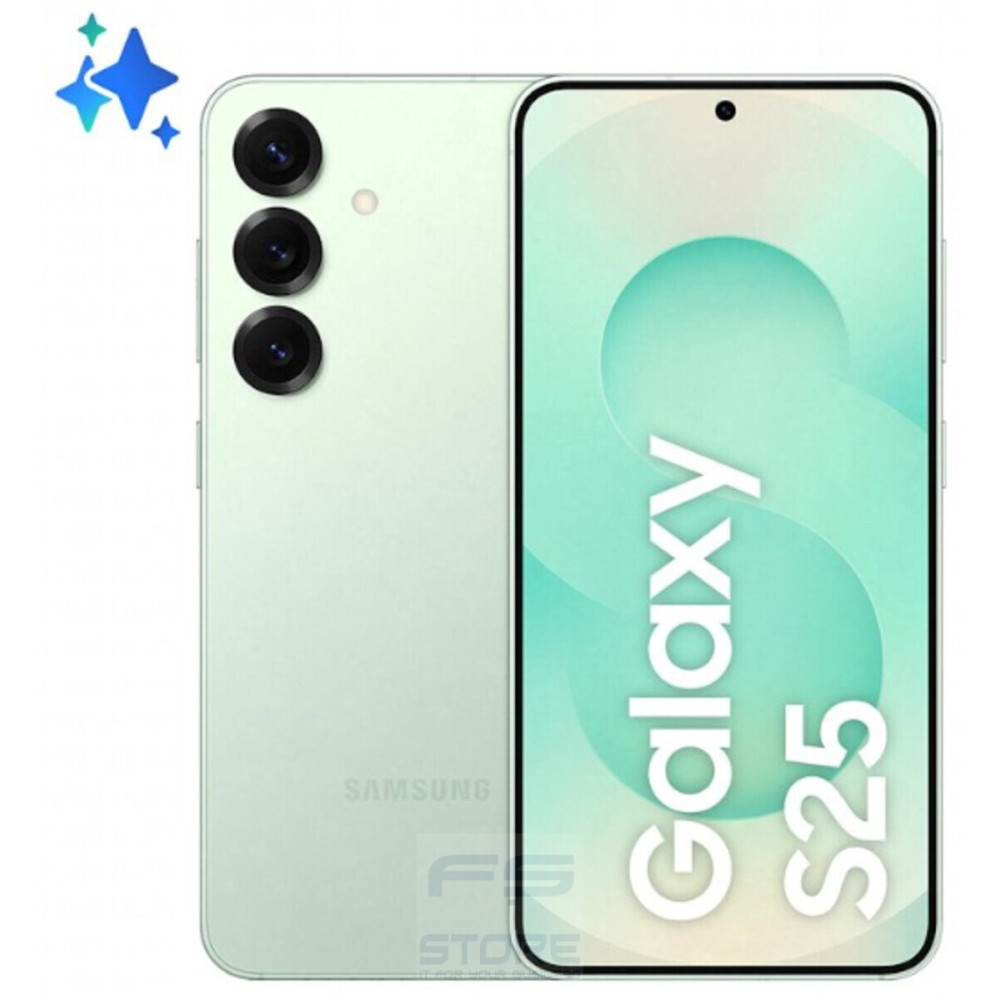 Samsung DSSAS25256GR Smartphone