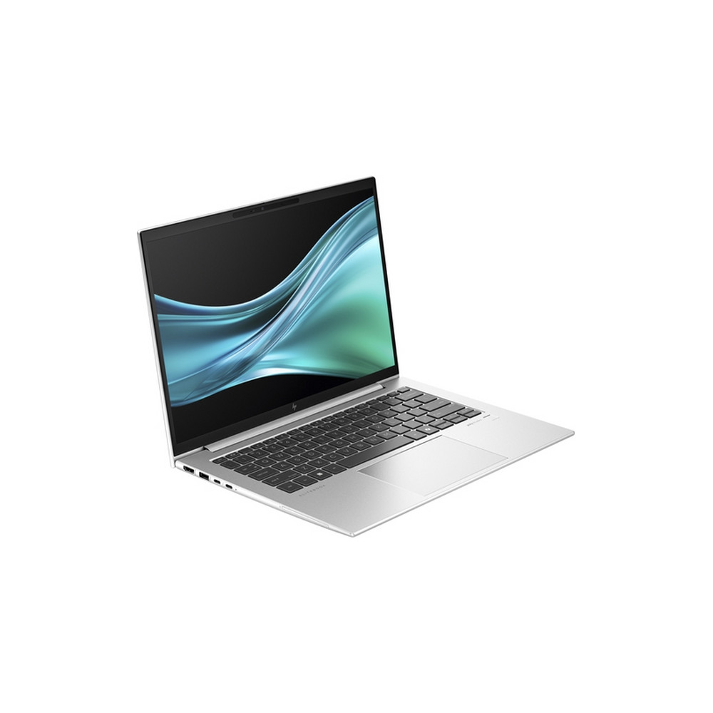 HP EliteBook 845 G11. Notebook