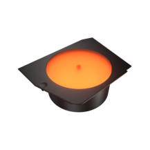 Cougar CGR-58M6B-LRP Case