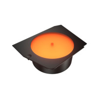 Cougar CGR-58M6B-LRP Case