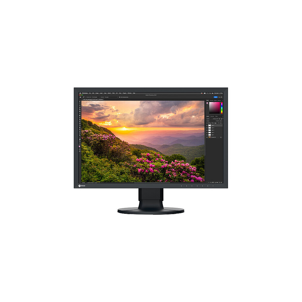 EIZO ColorEdge CS2400S. Monitor Desktop