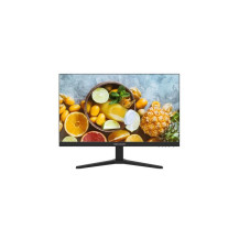 Hikvision DS-D5024FN10. Monitor Desktop