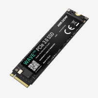 Hiksemi HS-SSD-WAVEPRO(P)/512G. SSD M2
