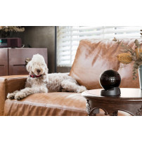 Imou Rex 3D 2K - Telecamera da interno a 360° con SENSE e riconosci... Videocamere