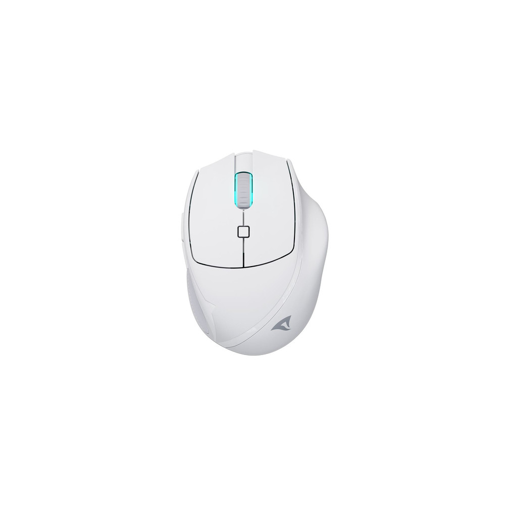 Sharkoon OfficePal M25W. Mouse