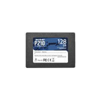 Patriot Memory P210. SSD Interni