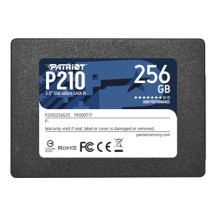Patriot Memory P210. SSD Interni