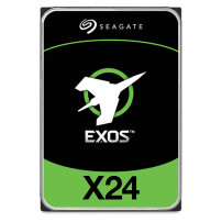 Seagate Exos X24. Hard Disk Interni
