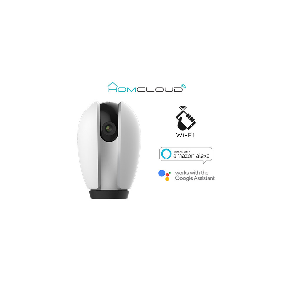 Homcloud TY-WCS4S Videocamere