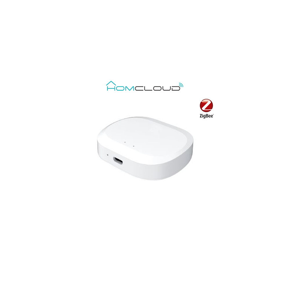 Homcloud VZ-GHZ2 Sensori