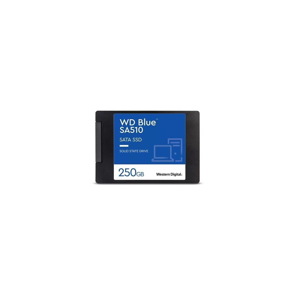 Western Digital WDS250G3B0A-00AXR0 SSD Interni